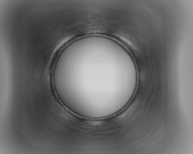 X0000112531309200908171136