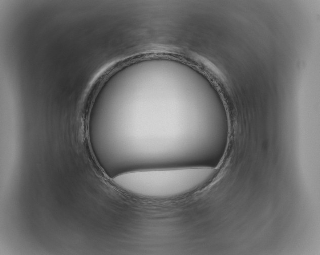 X0000112531310200908171136