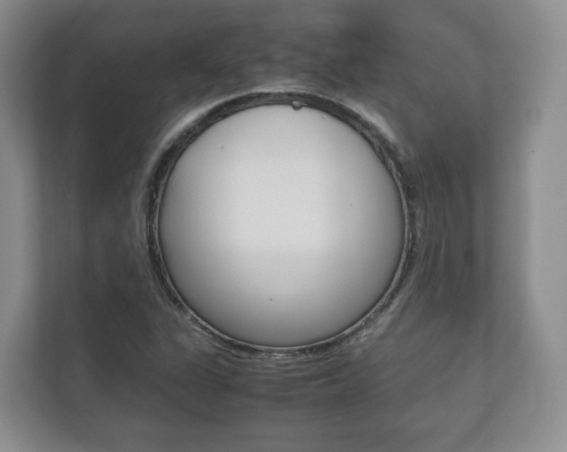 X0000112531311200908171136