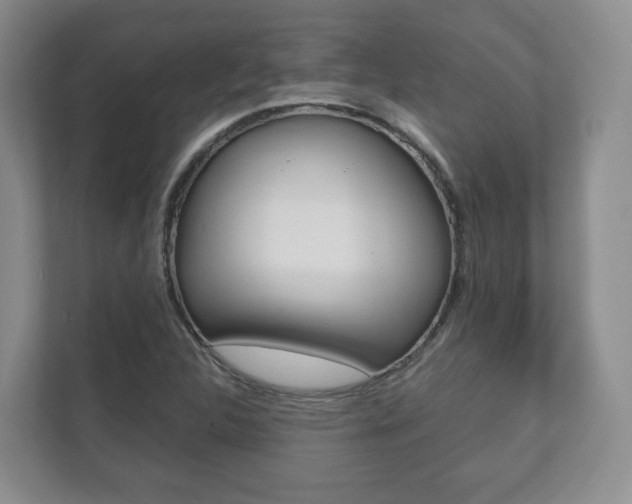 X0000112531312200908171136
