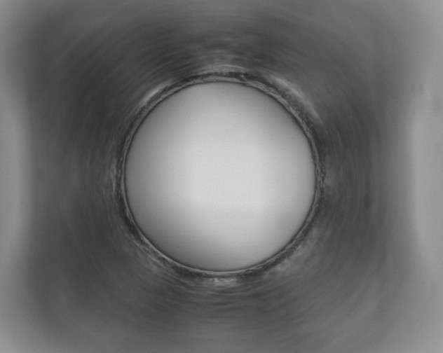X0000112531313200908171136