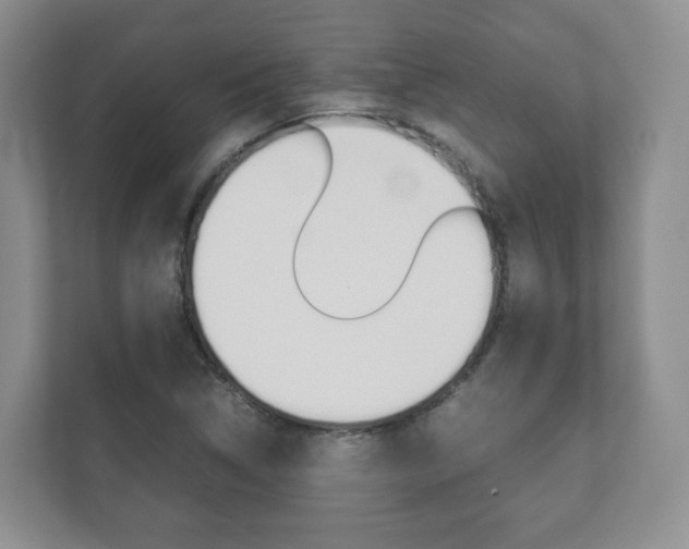X0000112531314200908171137