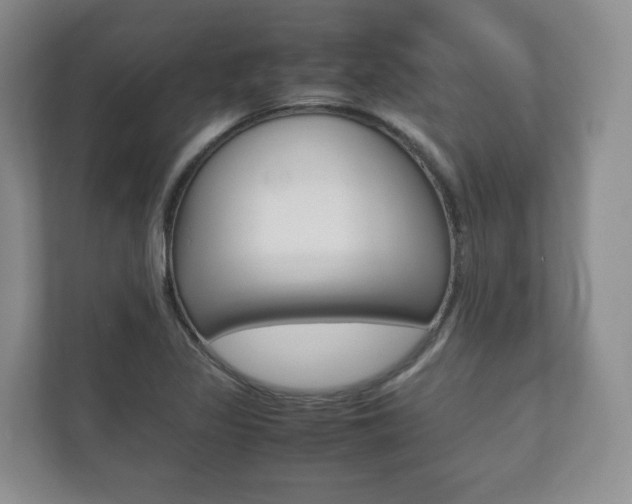 X0000112531317200908171137
