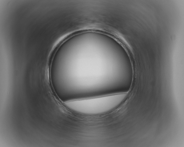 X0000112531320200908171137