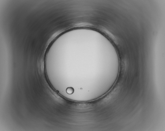 X0000112531322200908171137