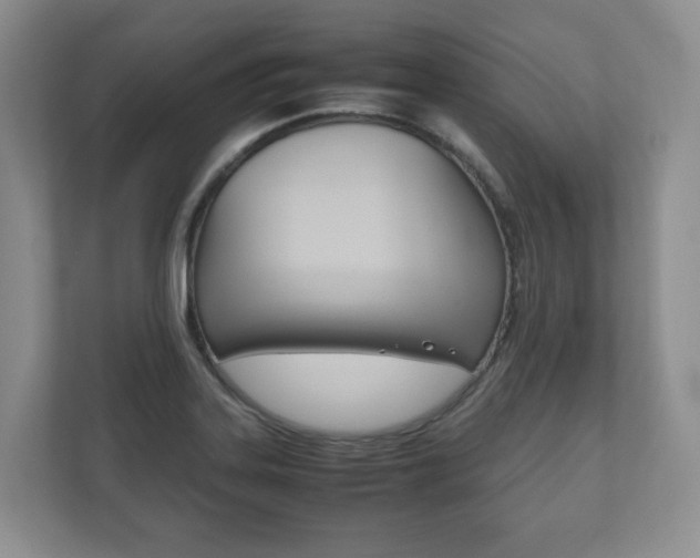 X0000112531323200908171137