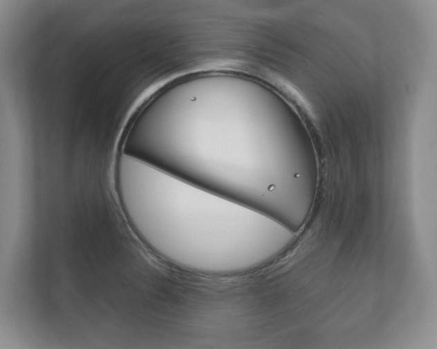 X0000112531324200908171137