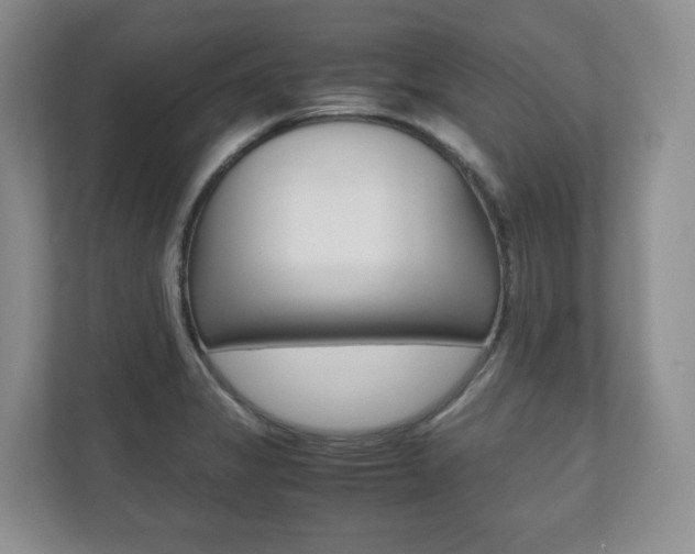 X0000112531325200908171137