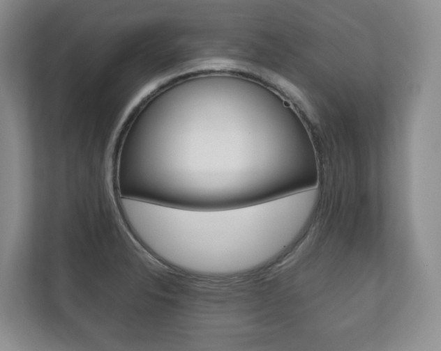 X0000112531326200908171137