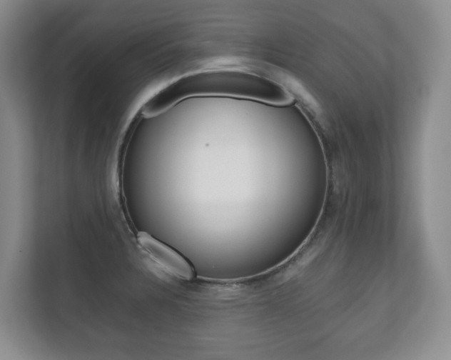 X0000112531328200908171137