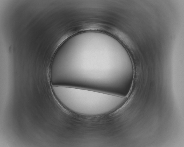 X0000112531329200908171137