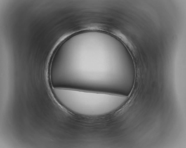 X0000112531331200908171137