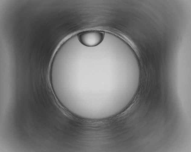 X0000112531332200908171137