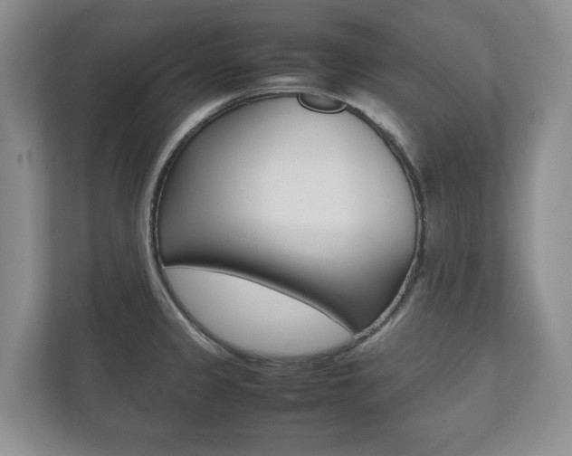 X0000112531333200908171137