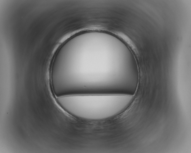X0000112531335200908171137