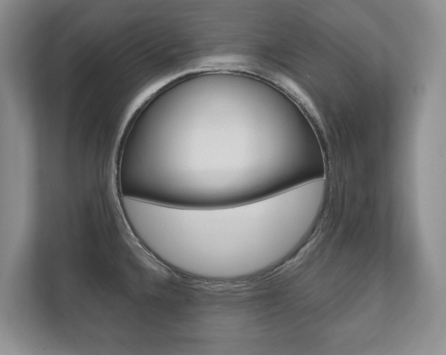 X0000112531336200908171137