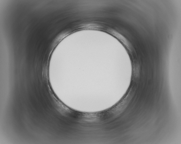 X0000112531338200908171137