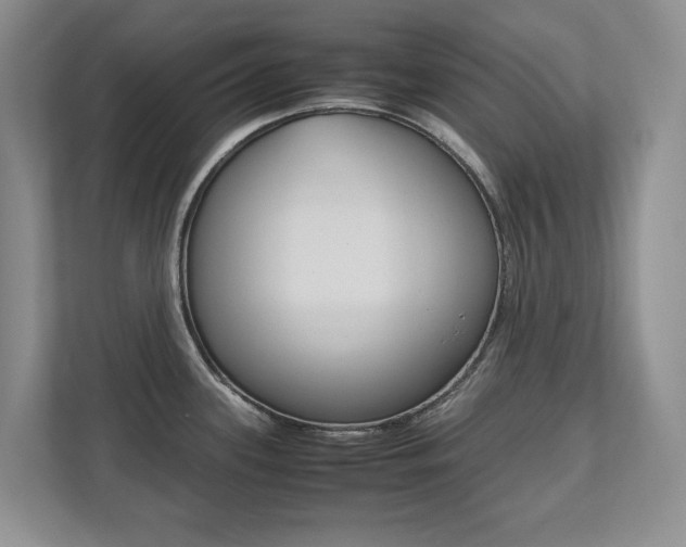 X0000112531339200908171137
