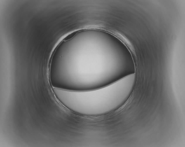 X0000112531340200908171137