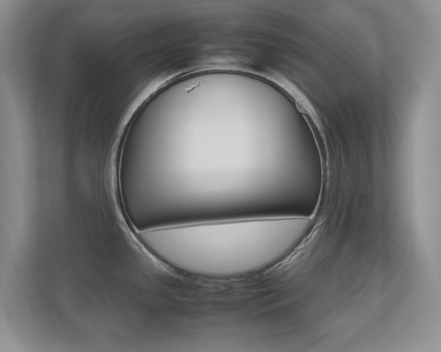 X0000112531341200908171137