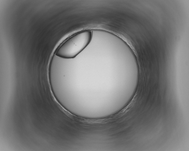 X0000112531342200908171137