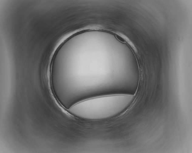 X0000112531343200908171137
