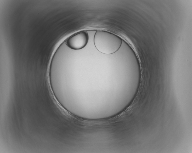X0000112531344200908171137