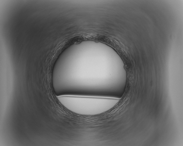 X0000112531345200908171136