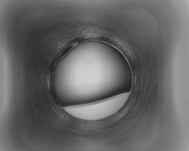 X0000112531348200908171136