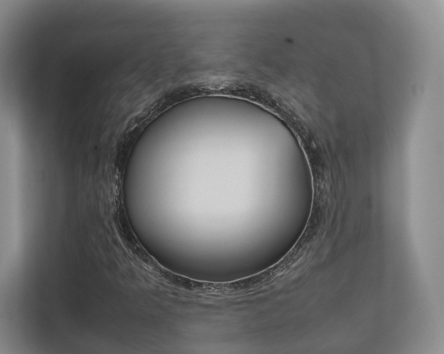 X0000112531349200908171136