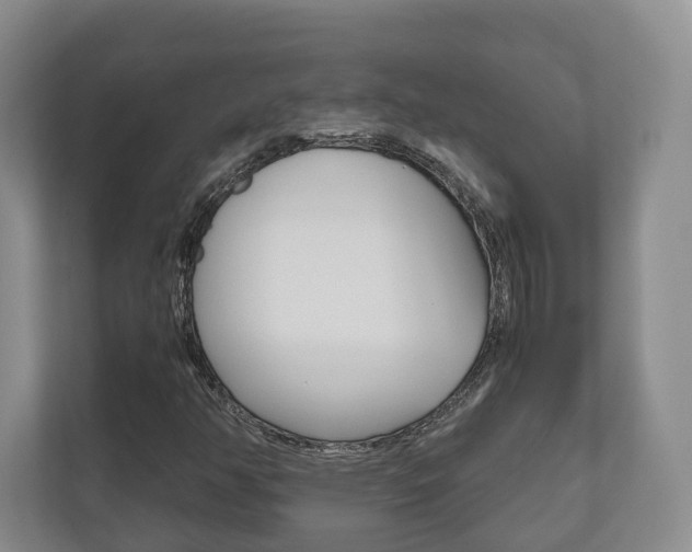 X0000112531350200908171136