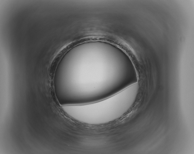 X0000112531352200908171136