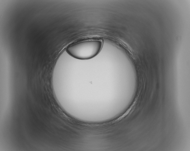 X0000112531353200908171136