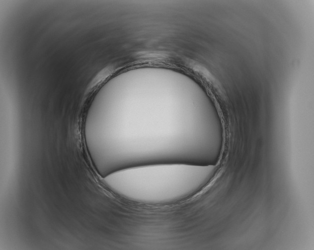 X0000112531354200908171136