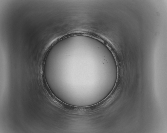X0000112531355200908171136