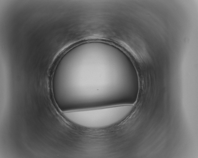 X0000112531356200908171136