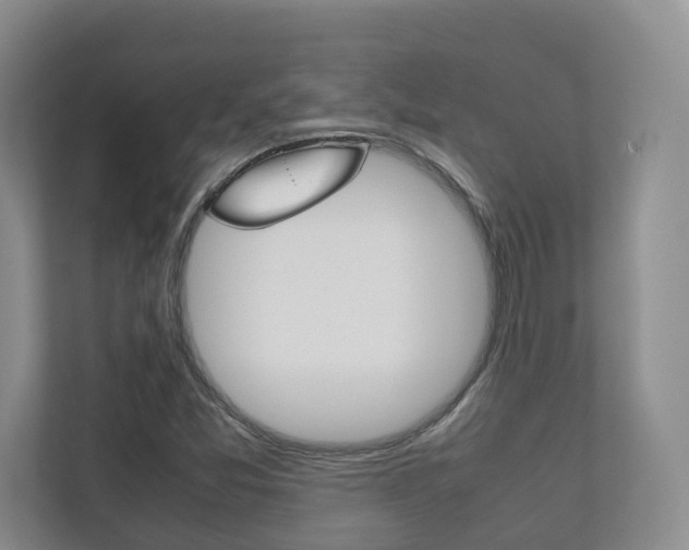 X0000112531357200908171136