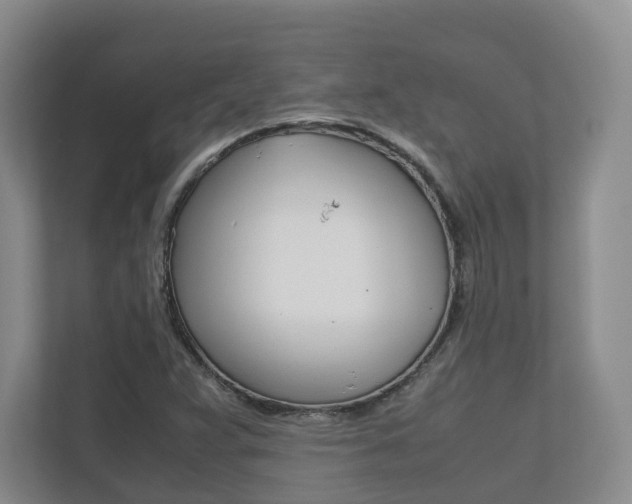 X0000112531359200908171136