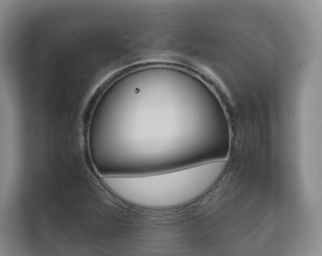 X0000112531360200908171136