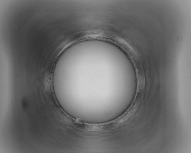 X0000112531361200908171136
