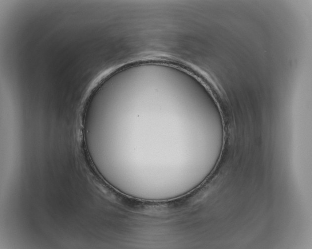 X0000112531363200908171136