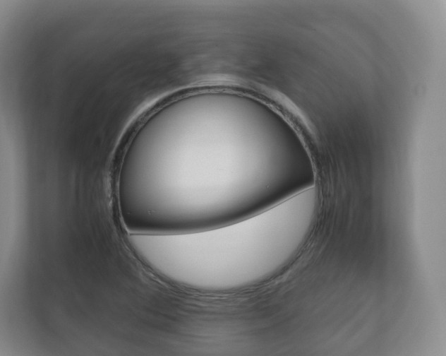 X0000112531364200908171136