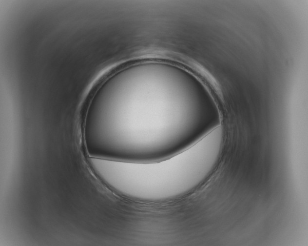 X0000112531368200908171136