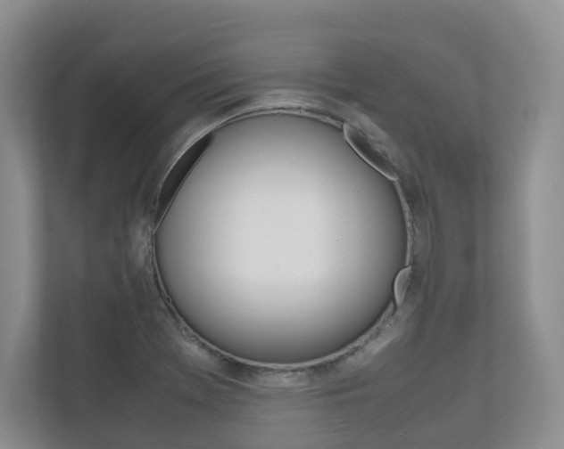 X0000112531369200908171136