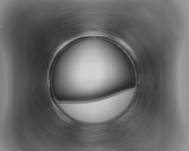 X0000112531372200908171136