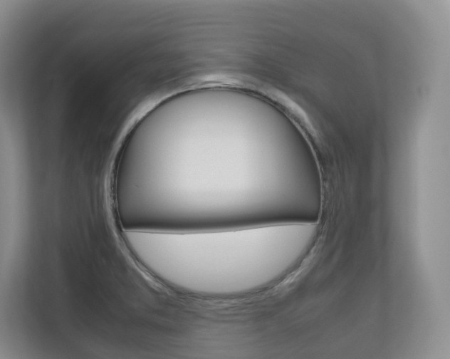 X0000112531373200908171136
