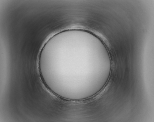 X0000112531374200908171136