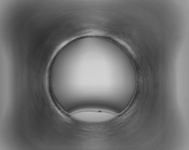 X0000112531375200908171136