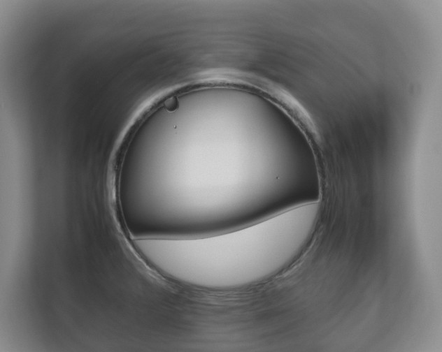 X0000112531376200908171136