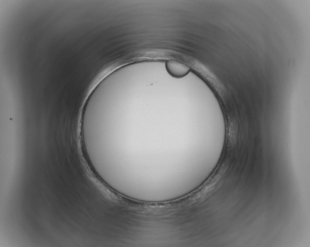 X0000112531378200908171136